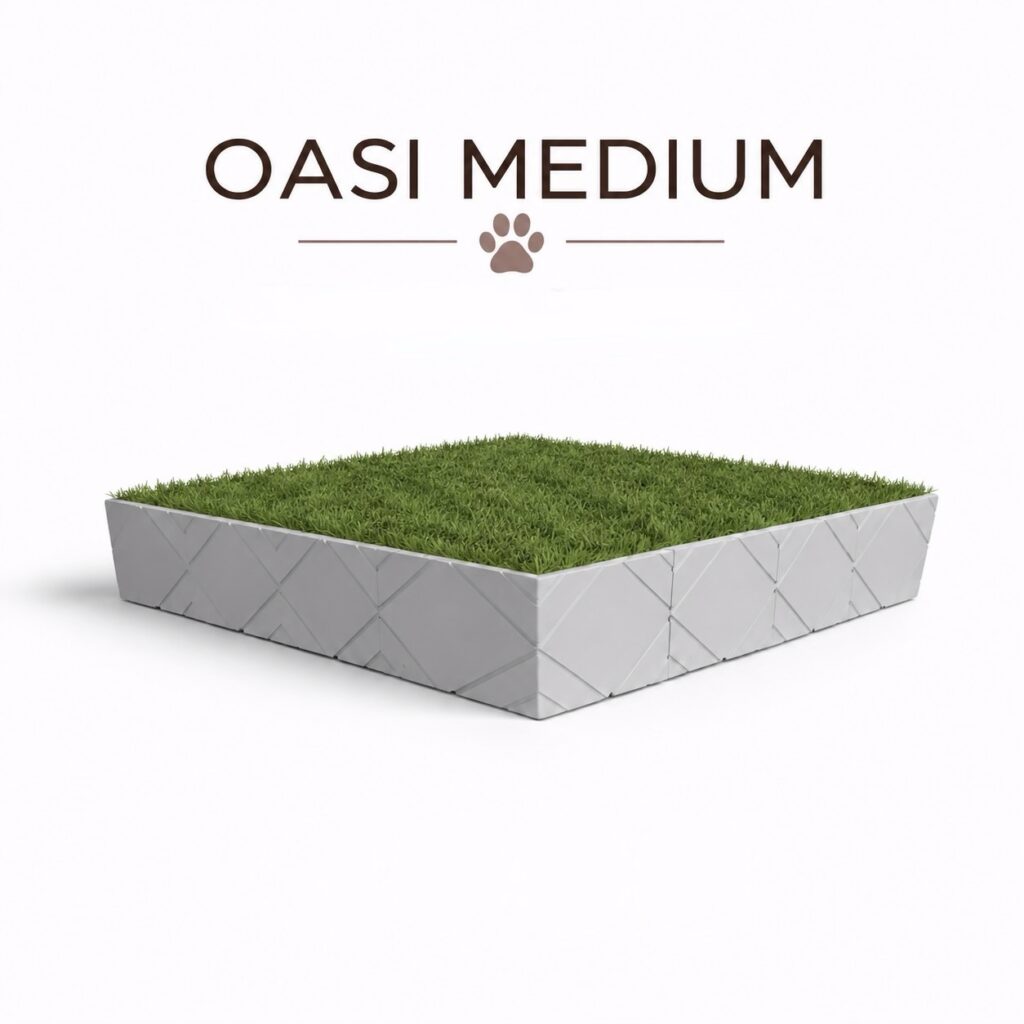 Oasi Medium