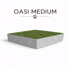 Oasi Medium