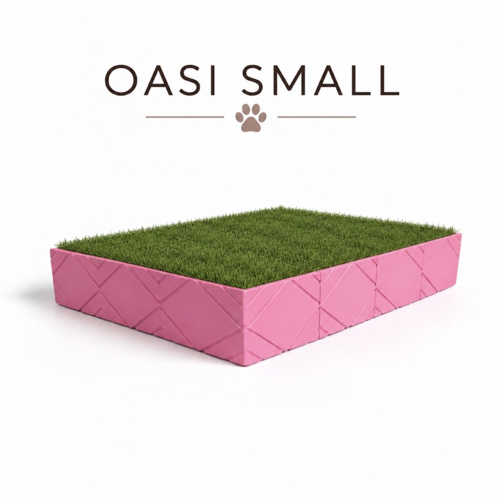 Oasi Small