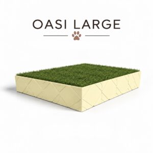 Oasi Large