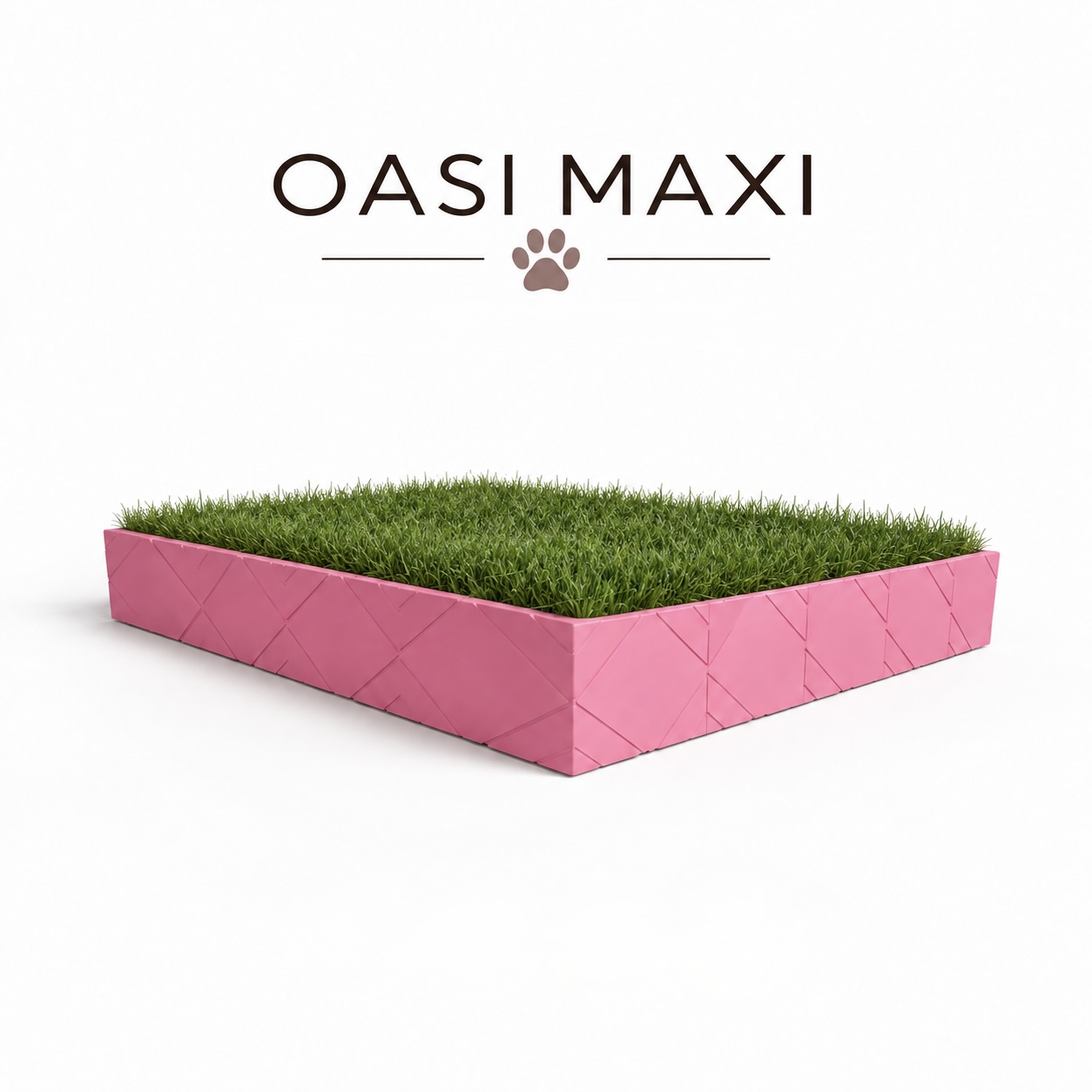 Oasi Maxi