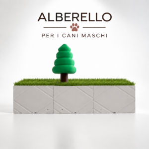 Alberello